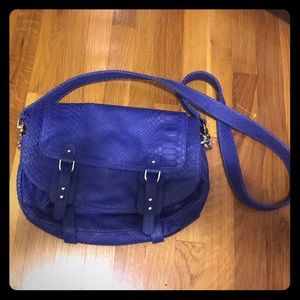 CC Skye royal blue purse